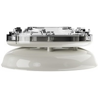 Image of YBO-BSB2/RL