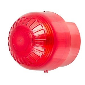 Image of PSB-0231