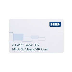 Image of 5006PGGMNT