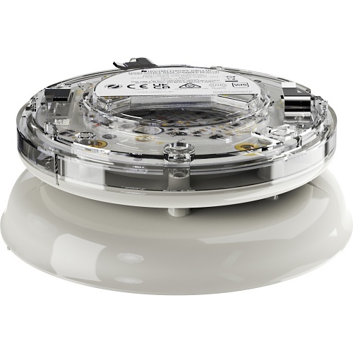 Image of YBO-BSB2/RL